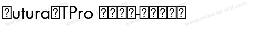 FuturaLTPro BLOD字体转换